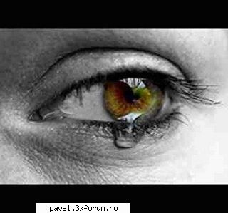 :(
dar daca gardul se termina, nu stiu ce-am sa fac... fan club pavel stratan