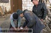 ALBUM DE FAMILIE - Amintiri din copilarie "Da' tata/ N-o vrut - Articole din presa