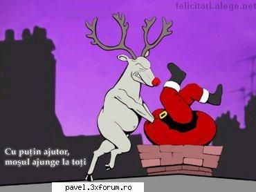 Craciun 2007 - SI O FELICITARE DE CONSOLARE PENTRU FLAVIU - Urari
