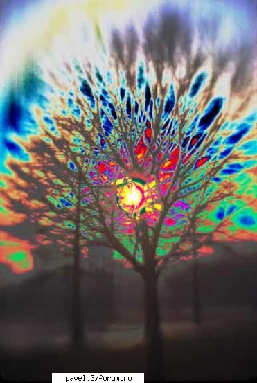 Ilustrari...ale versurilor (continuare) - Se scutura florile, cad frunzele, una cate - Versuri si acorduri