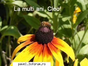 LA MULTI ANI, SCUMPA NOASTRA CLEO!!!!!!! - marius - Azi ii ziua ta ...                   da' io stiam de ieri