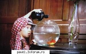 VIDEOCLIP ZUNEA-ZUNEA !!!!!!!!!!!!!!!!!!!!!!!!!!!!!!!!!!!!!!!!!!!!!!! - MIERĂ DE VIDEOCLIP] - Cleopatra