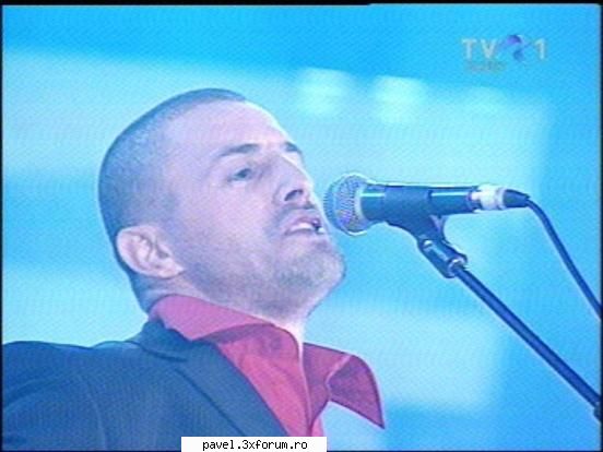 alte articole - IMAGINI CERBUL DE AUR - Articole din presa