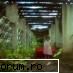 presa despre cleo 5 - Fan(atic) - Cleopatra